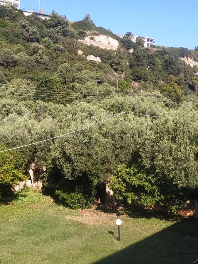 Studios Galanis Afytos Esterno foto