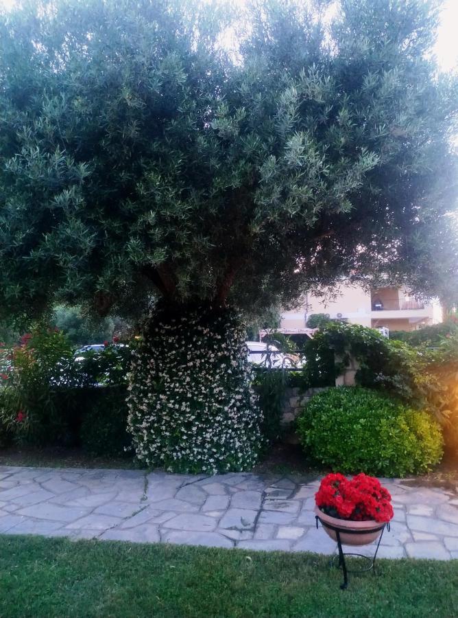 Studios Galanis Afytos Esterno foto